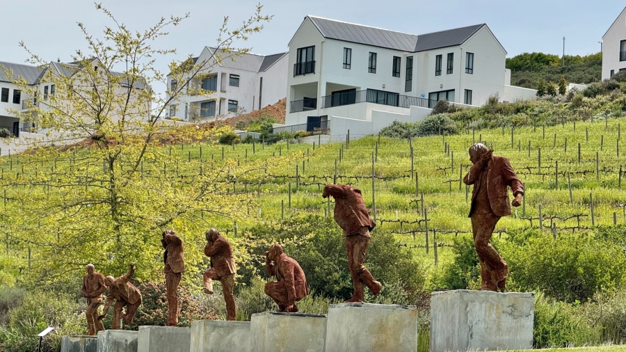 0 Bedroom Property for Sale in Weltevreden Hills Estate Western Cape